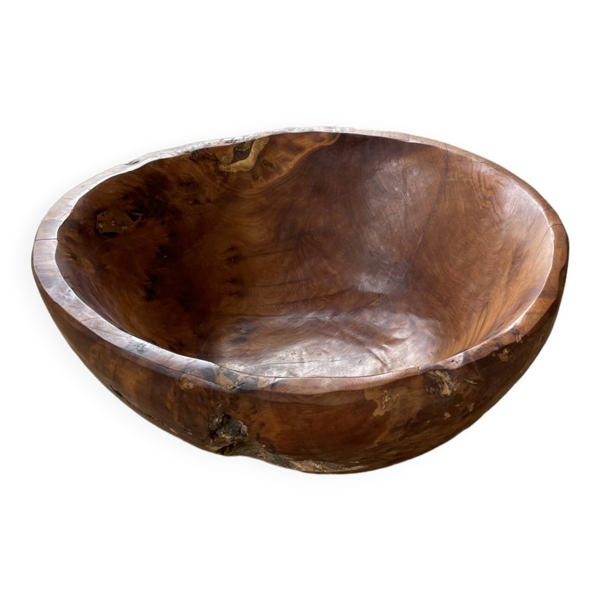Plat en bois XL racine de thuya — Beyit