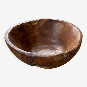 XL thuja root wooden dish