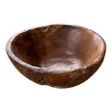 XL thuja root wooden dish