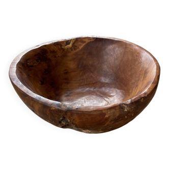Plat en bois XL racine de thuya
