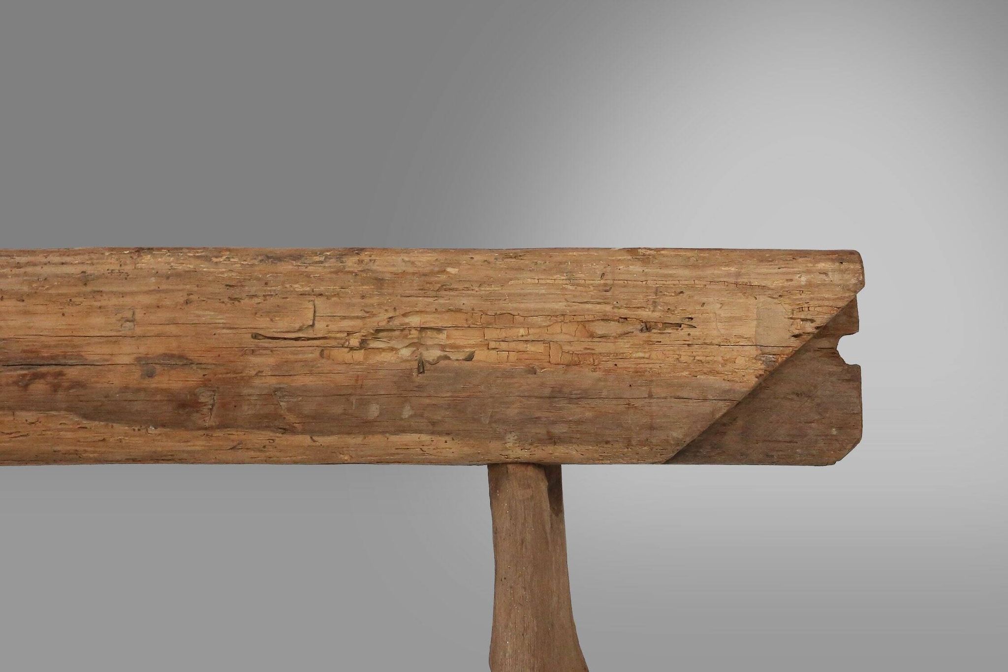 Rustic Tree Trunk Bench, France 1850s