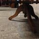 Library rotating shelf marble
