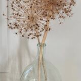 Transparent 5L demijohn