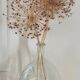Transparent 5L demijohn
