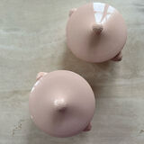 Set tureen and vegetable Sarraguemines Digoin