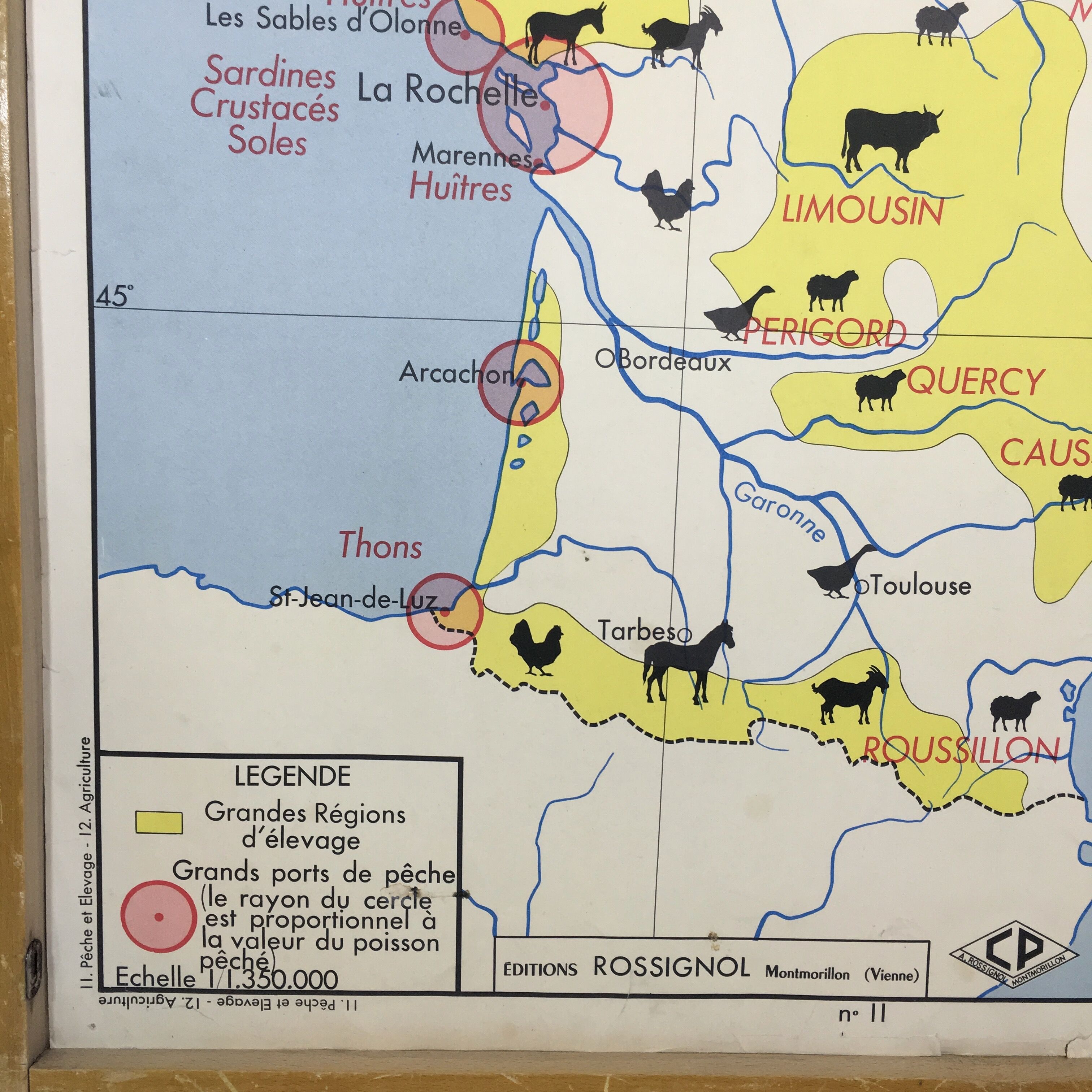 School poster double sided France