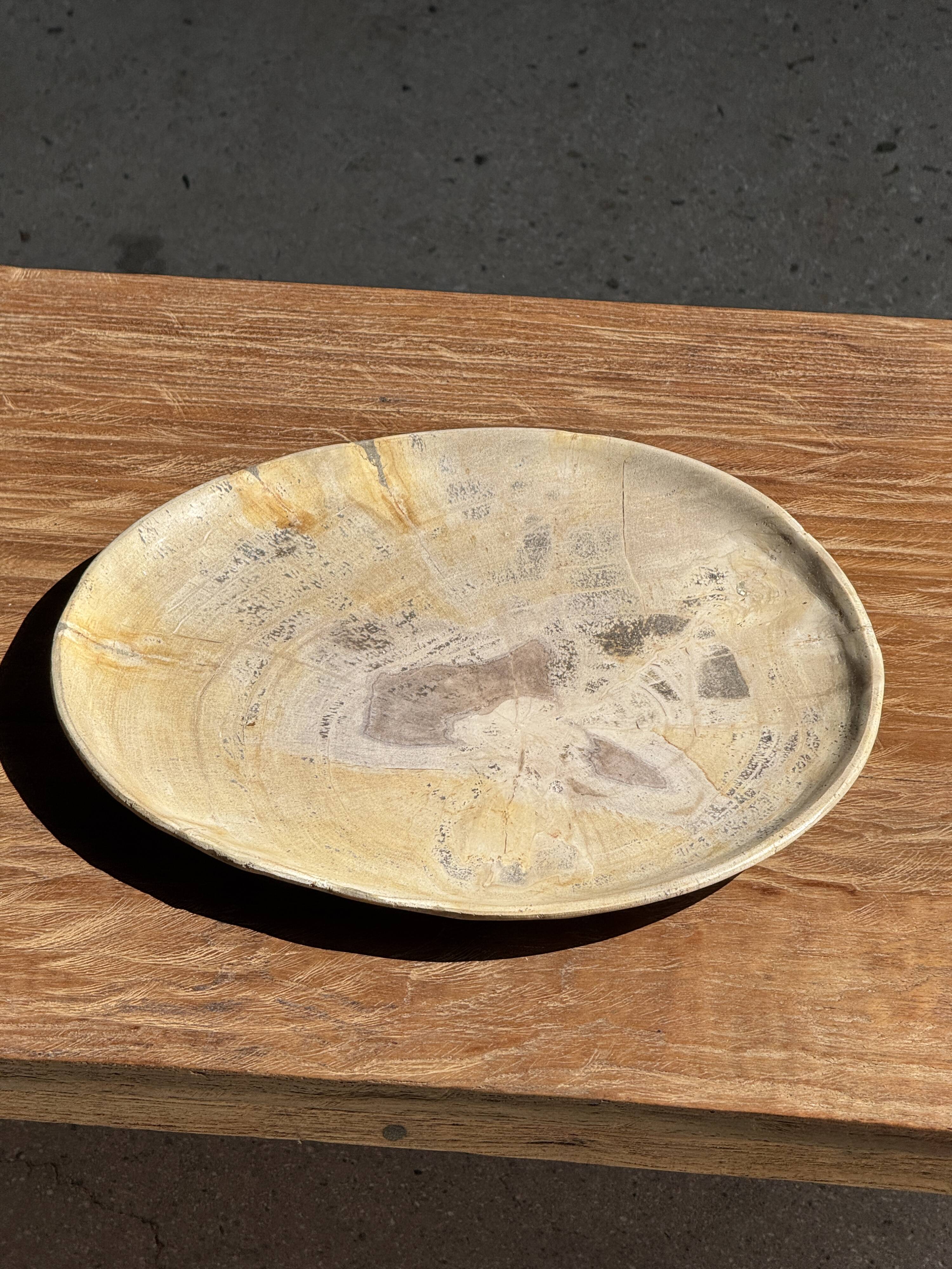 Petrified wood catchall or dish in beige with several grey spots in the centre.