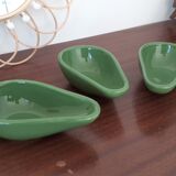3 avocatiers vert