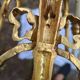 Pair of "torch" wall sconces Louis XVI in gilded bronze