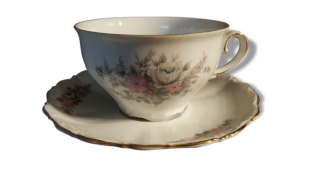 Tasse à Café Seltmann Weiden Compact - Porcelaine Décor Bavière 250 Ml - Neuf En Boîte