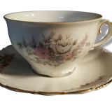 1 cup and under Cup seltmann weiden bavaria w. germany