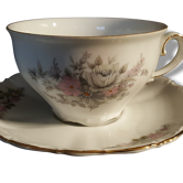 1 tasse et sous tasse seltmann weiden bavaria w germany