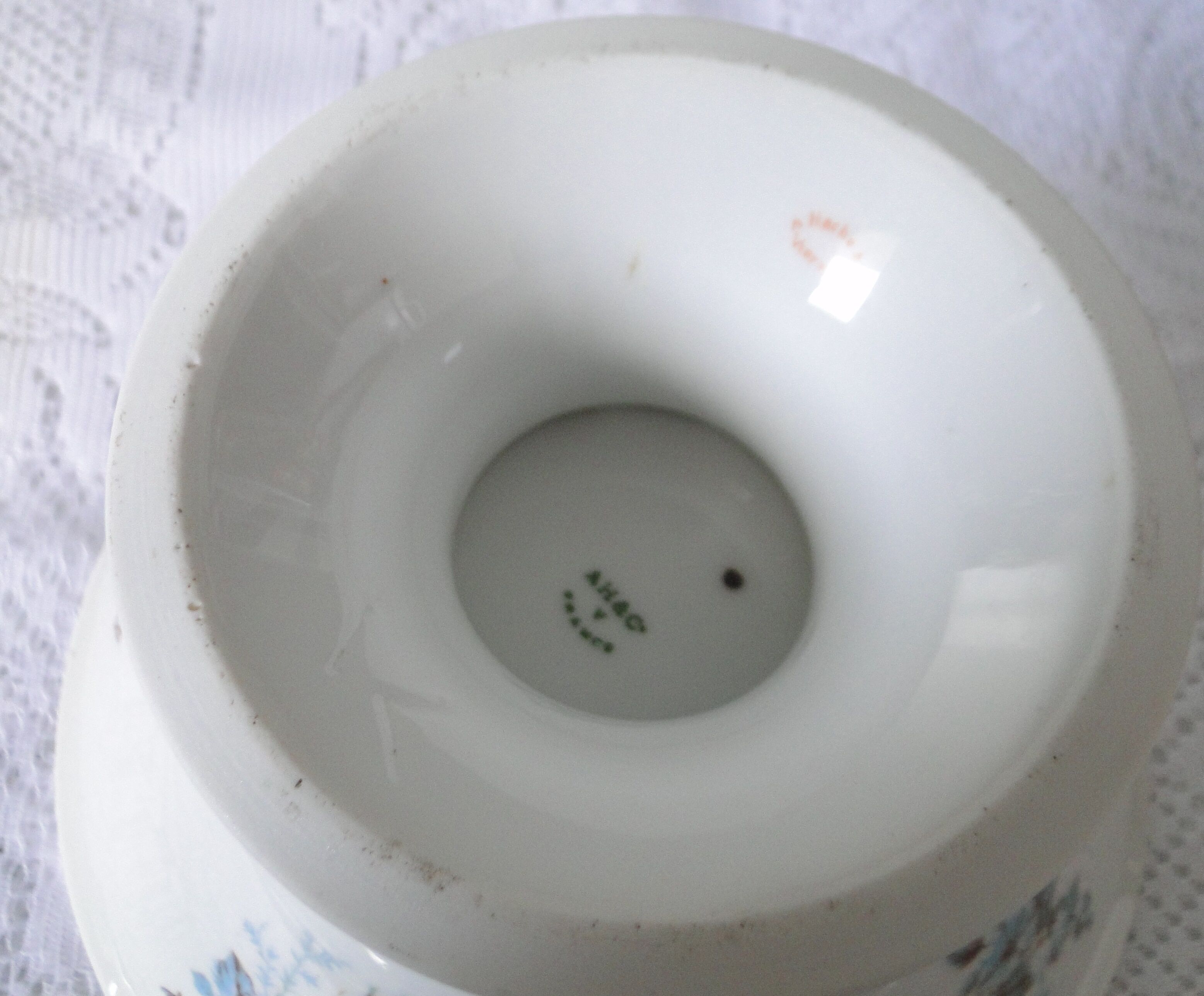 Foot cut hard porcelain shower A.Hache & Cie V France art nouveau bird blue flowers