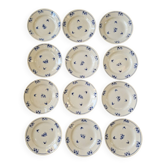 Lot De 12 Assiettes Semi-creuse Saint Amand Modele 2018
