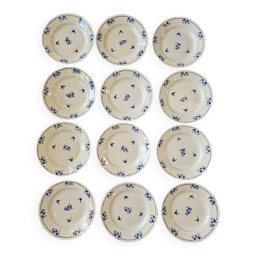 Set of 12 Saint Amand Semi-Deep Plates Model 2018