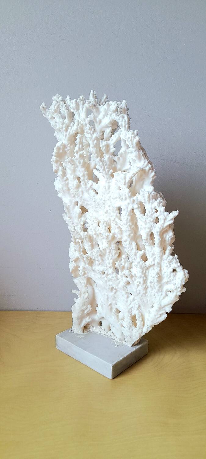 Antique white coral on marble base