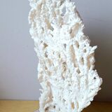 Antique white coral on marble base