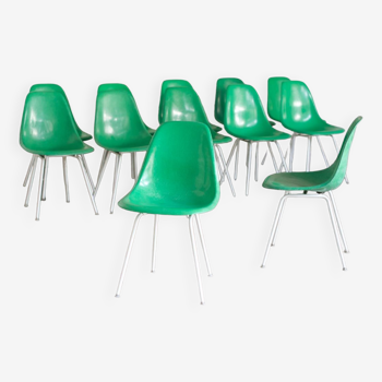 12 chaises DSX Vintage Fibre de verre Charles et Ray Eames / Herman Miller 1960'