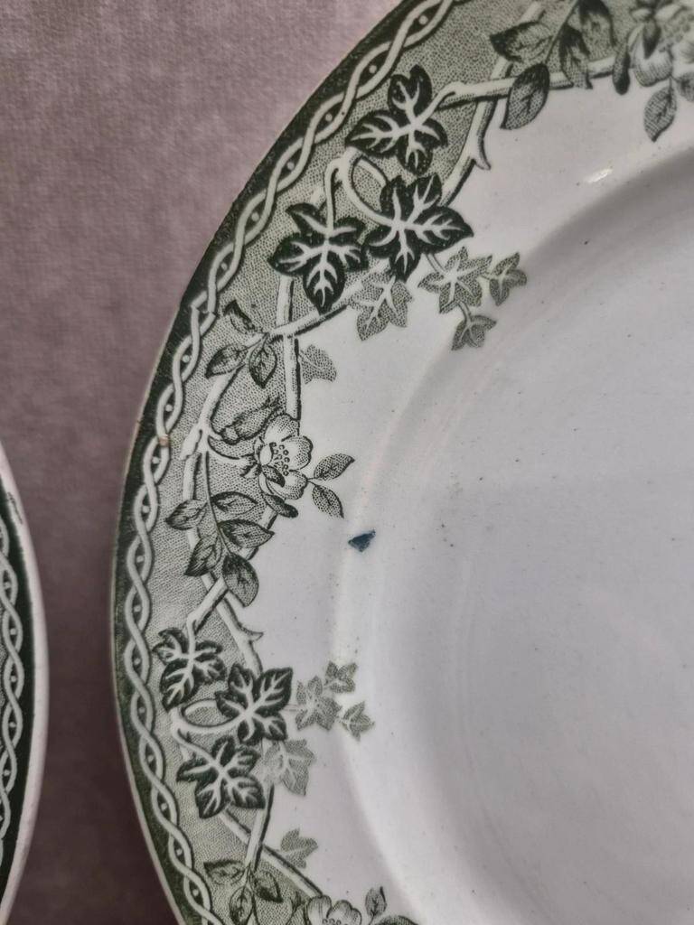 Beautiful set of 4 antique ironstone plates from Saint-Amand and Hamages, Estival model.