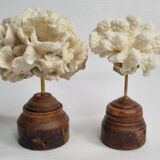 Pair of antique corals on turned wooden bases, 13 cm