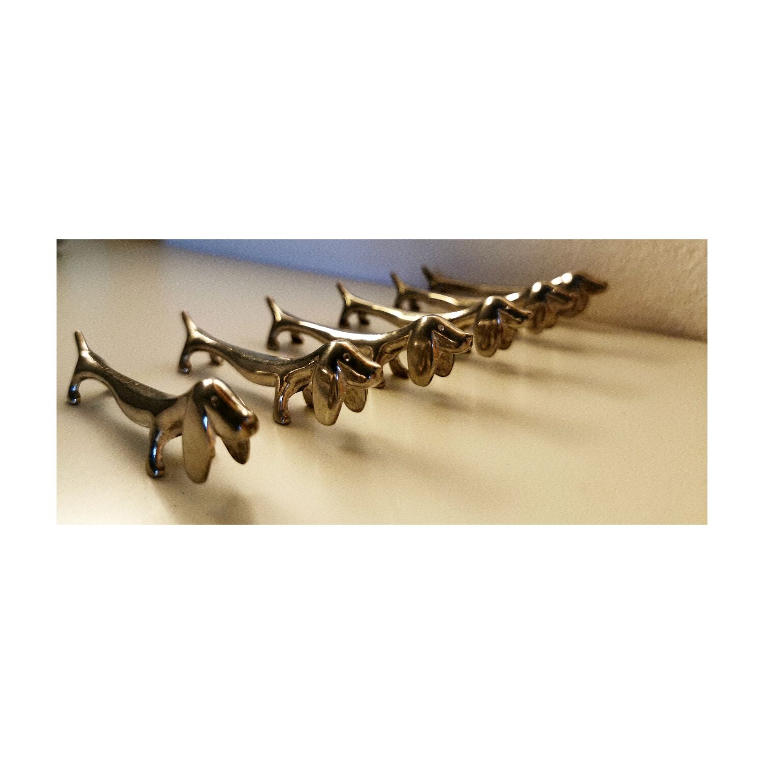 Dachshund covered doors