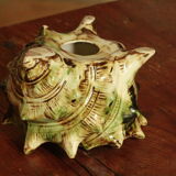 Ancient ceramic shell