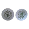 Two botanical plates