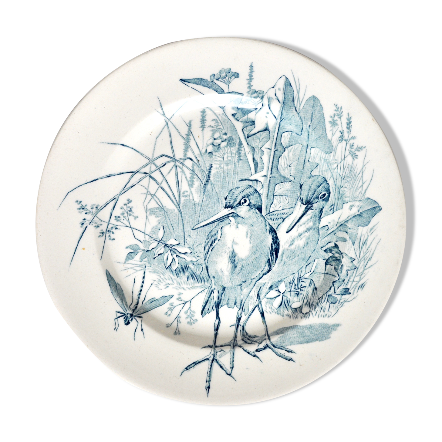 Bird plate in faïence
