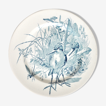 Bird plate in faïence