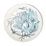 Bird plate in faïence