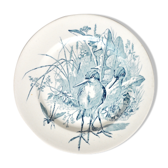 Bird plate in faïence