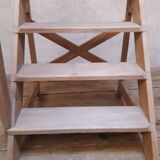 Library and workshop stepladder, 19th century