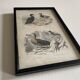 Bird frame