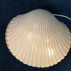 Lampe coquille Saint Jacques en fibre de verre design Michèle Mahé, des années 60