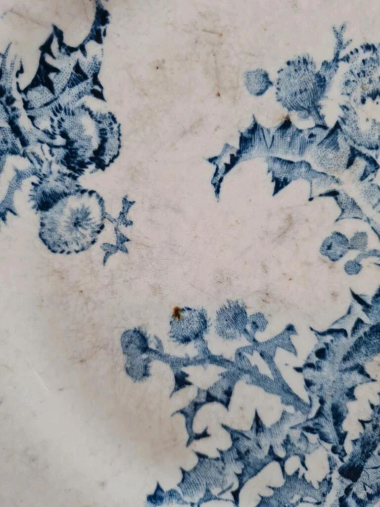 Antique plate with blue thistle decoration – Terre de fer spirit