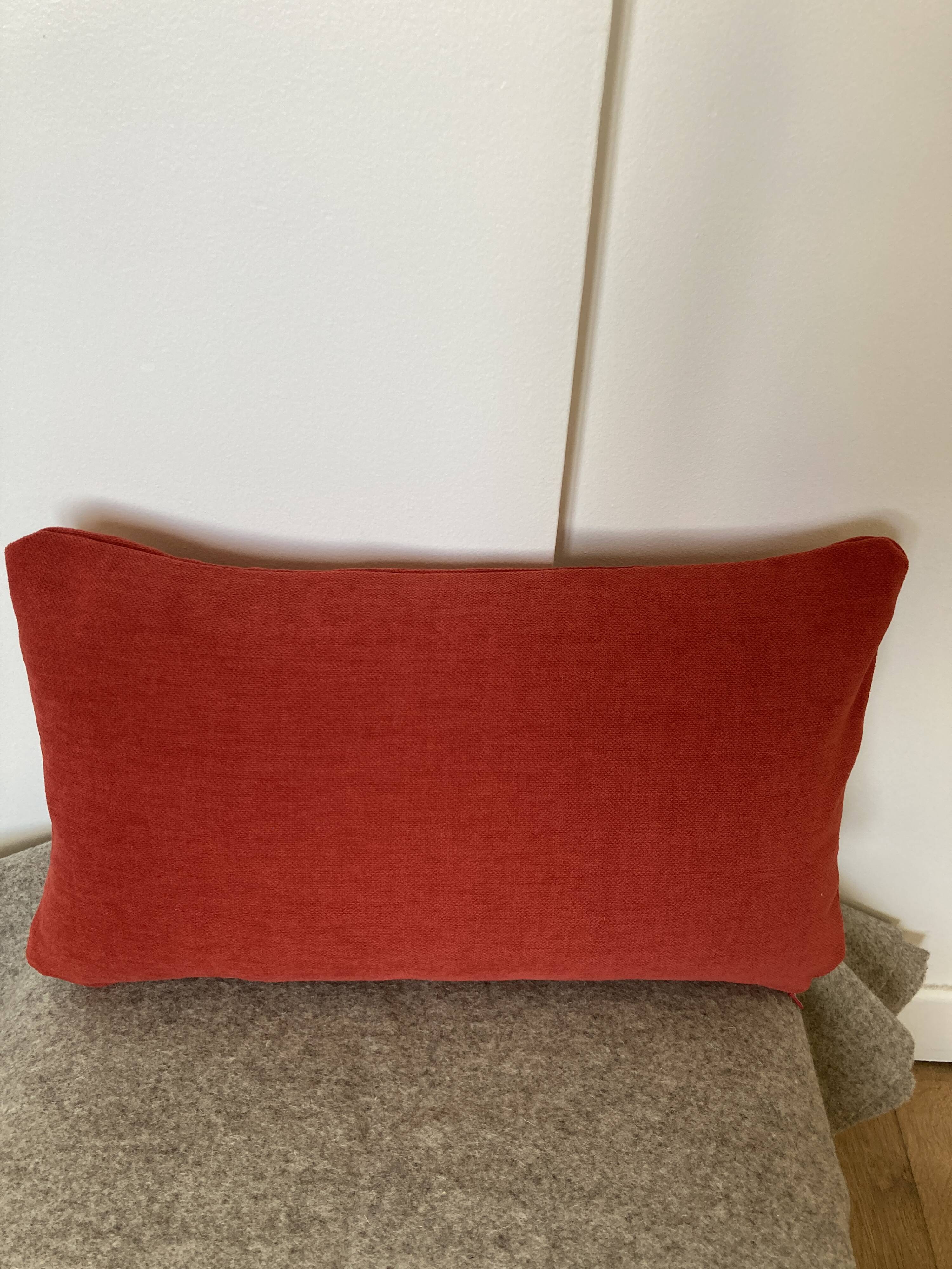 Aqua Clean Red Cushion