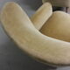 1/2 fauteuil bergere années 50 60 Theo Ruth pour Artifort
