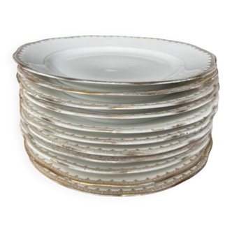 Lot de 11 assiettes plates à entrée/dessert - Pommier Dureil 72 - Porcelain