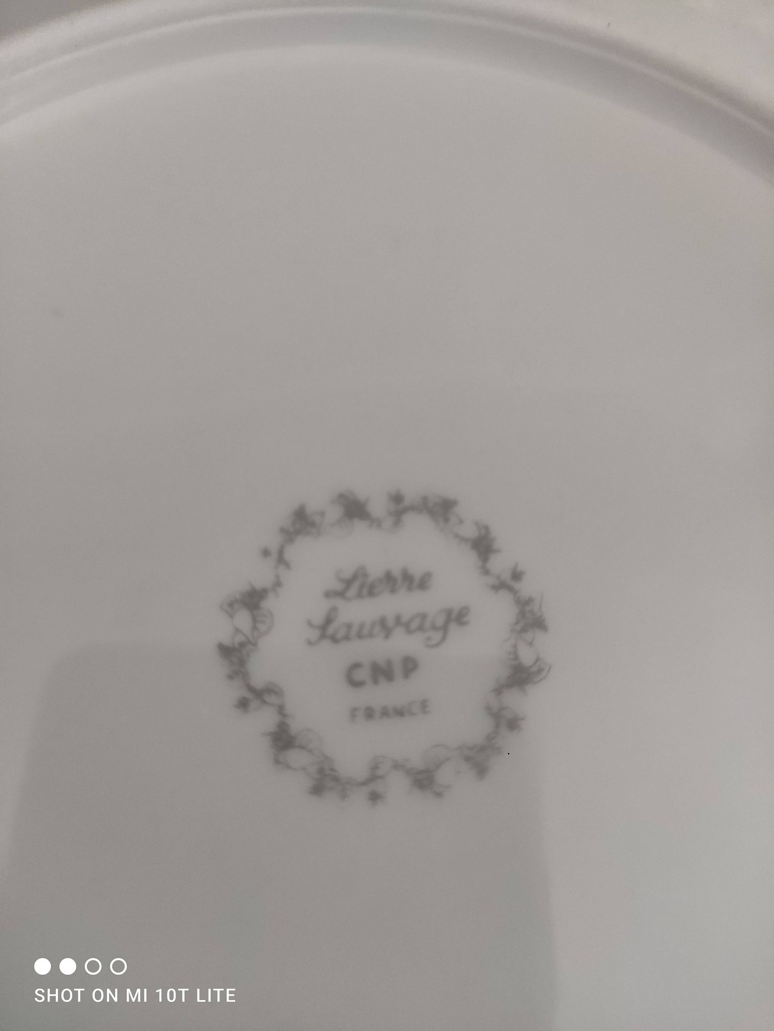 Set of 12 dessert plates in white porcelain marli in relief Wild Ivy