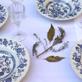 6 Blue Onion Myott meakin plates