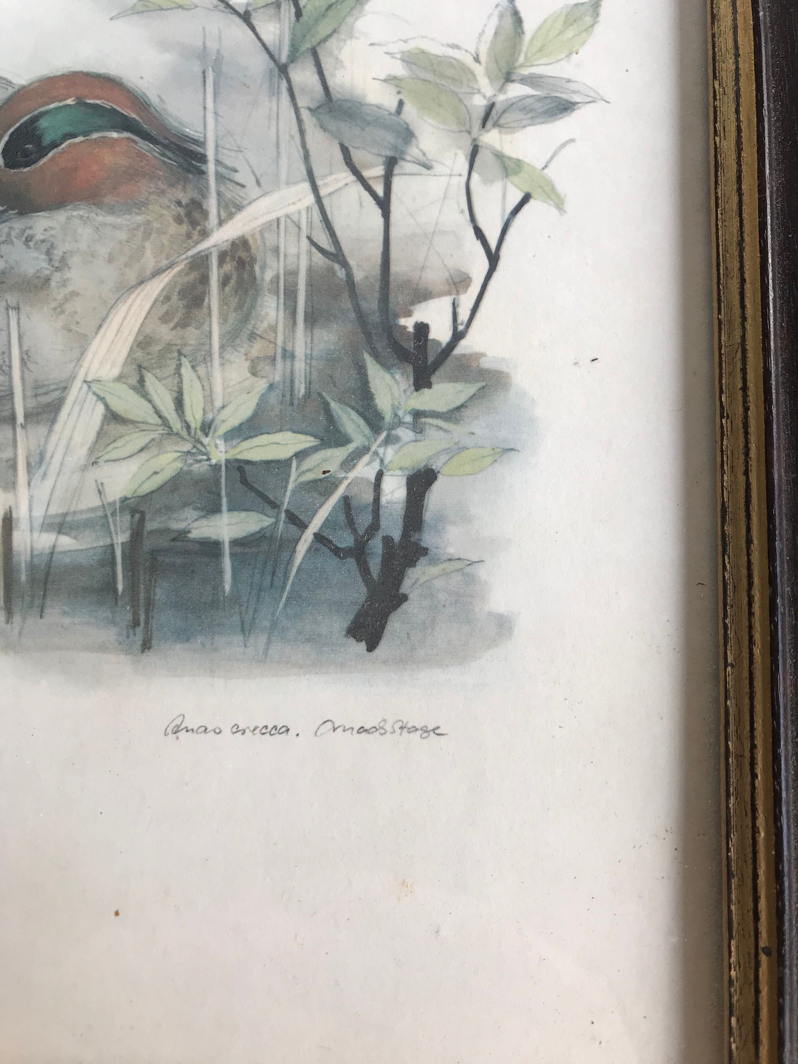 Vintage nature painting, Teal