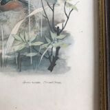 Vintage nature painting, Teal