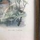 Vintage nature painting, Teal