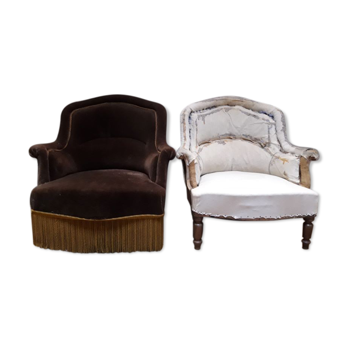 Pair of large toads to retap