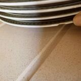 6 plates Boch nut model