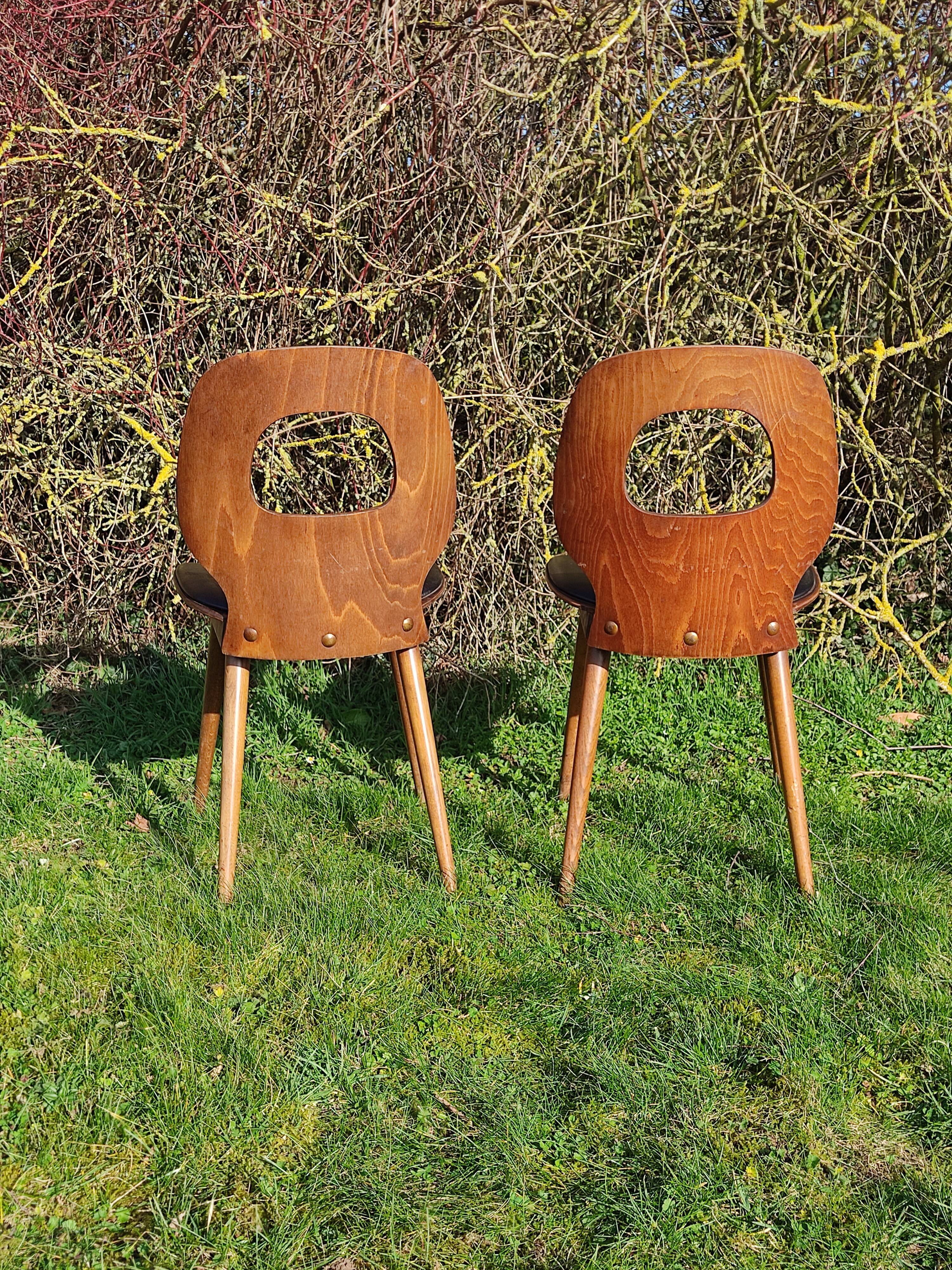 Baumann x2 chairs, Ant model