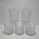 5 whiskey glasses