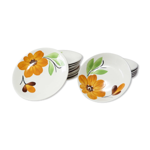 Ensemble 6 + 10 assiettes