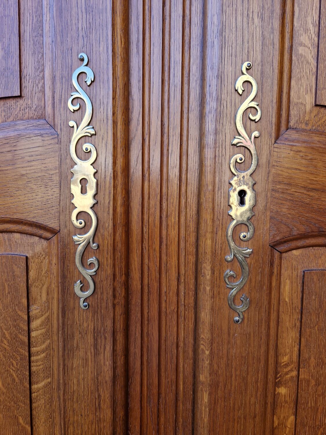 Paire de portes en chene