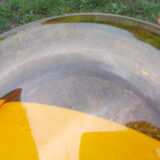 6 flat plates Duralex